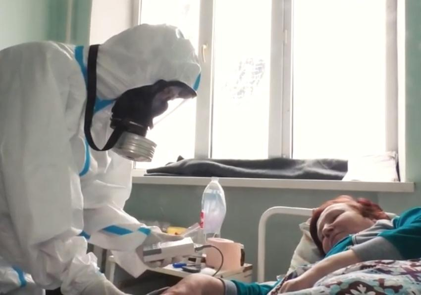 149 человек в Волгодонске за сутки получили диагноз «коронавирус»