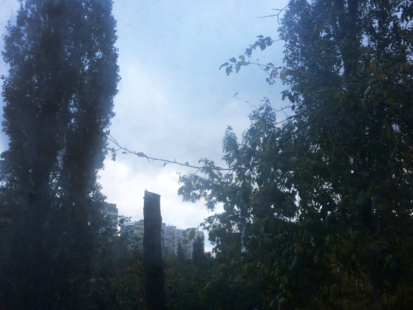По-настоящему осеннее утро в Волгодонске началось с сильного ветра и ужасающих туч