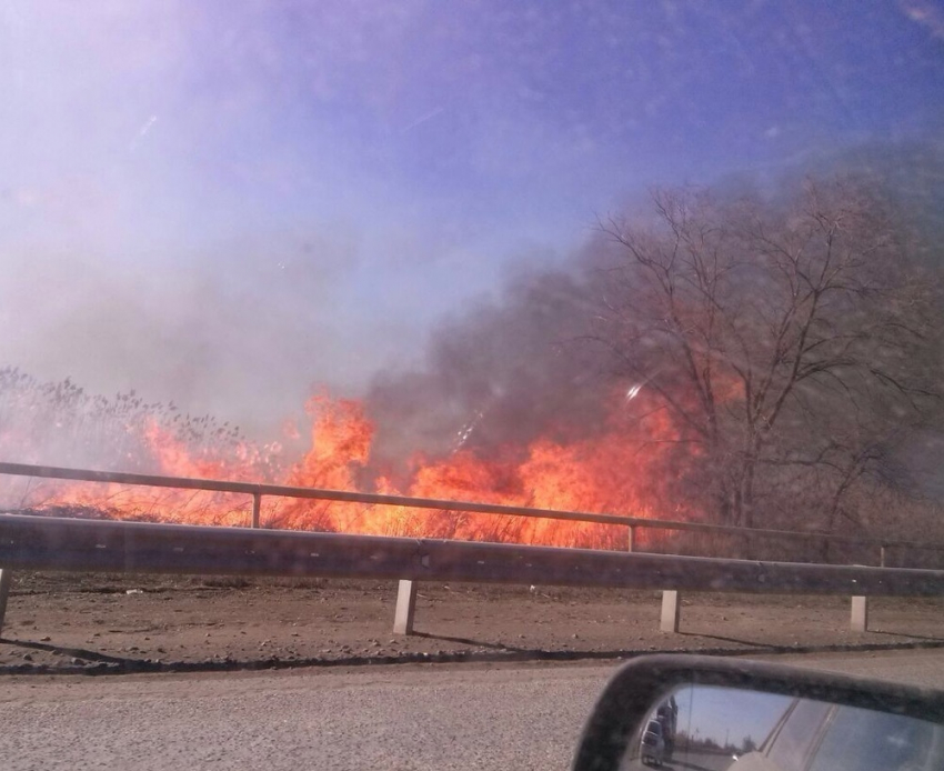 В Волгодонском районе горит сухостой, пожарные не могут подобраться к огню 
