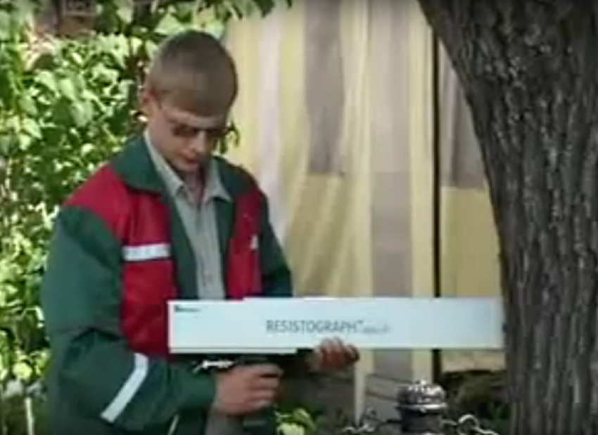 Резистограф для диагностики деревьев в Волгодонске собираются использовать после их падения