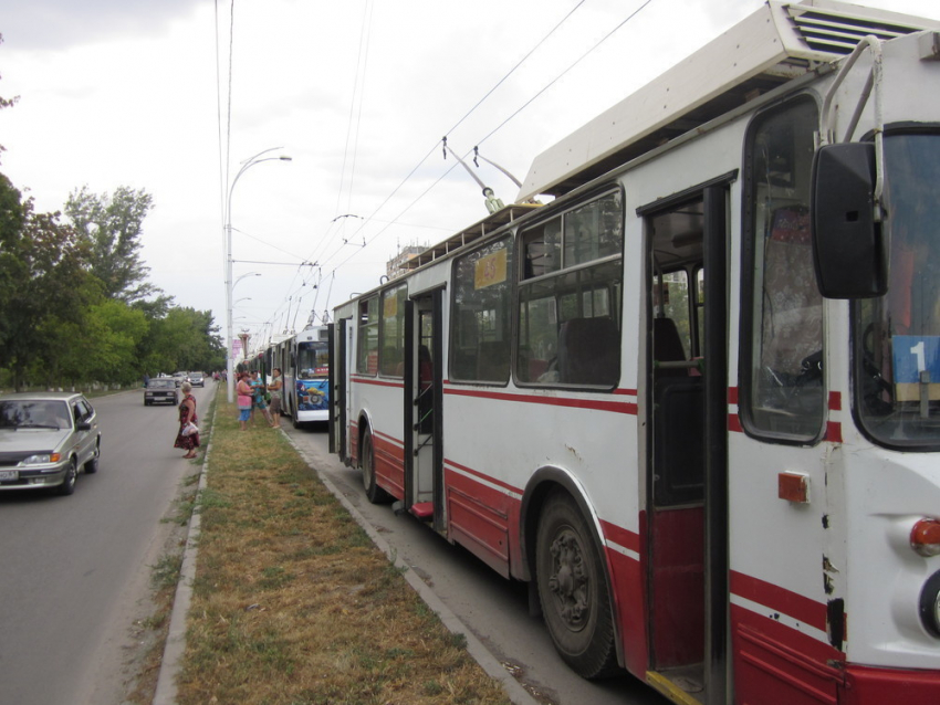 В Волгодонске в старом городе из-за обрезки деревьев перестанут ходить троллейбусы