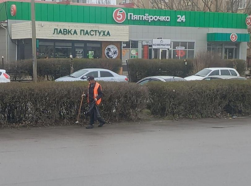 Дебоширы и хулиганы будут убирать мусор и сажать деревья в Волгодонске