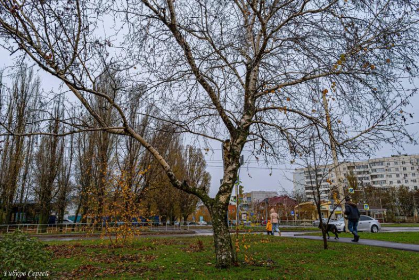 Сегодняшний день будет пасмурным