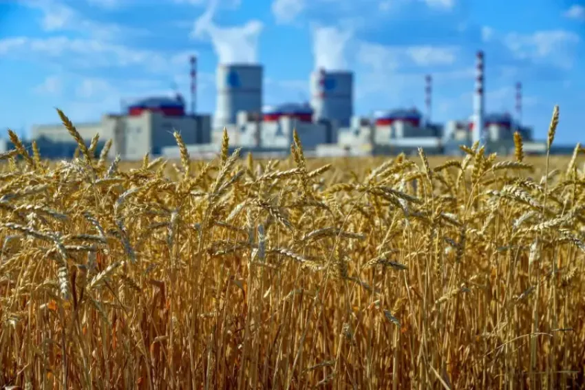 Ростовскую АЭС вновь признали экологически образцовой