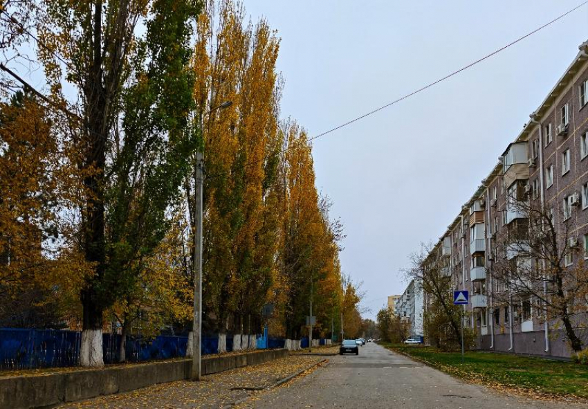 Зима с осенними нотками и очень высоким давлением: о погоде в Волгодонске в среду