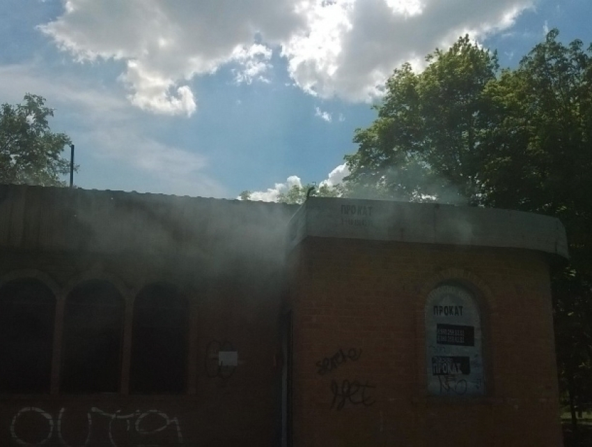 Пожар в заброшенном сквере «Дружба» в Волгодонске попал на видео