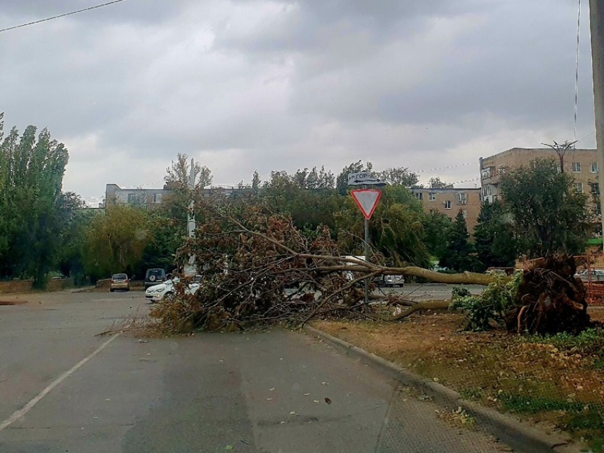 Последствия непогоды в Волгодонске ликвидируют во время месячника  чистоты