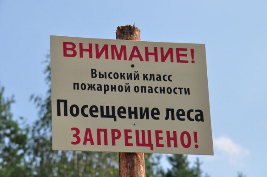 Волгодонцам до конца лета запрещено ходить в лес