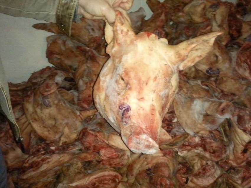 В Морозовском районе обнаружили свинину без документов в холодильниках сомнительной чистоты