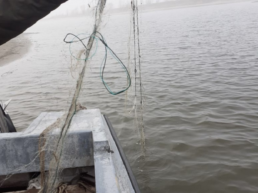 В заповедной зоне Цимлянского водохранилища активизировались браконьеры с китайскими сетями 