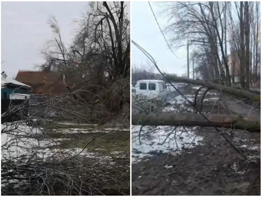Парк в Старосоленовской и аллея деревьев на Гагарина уничтожены стихией 