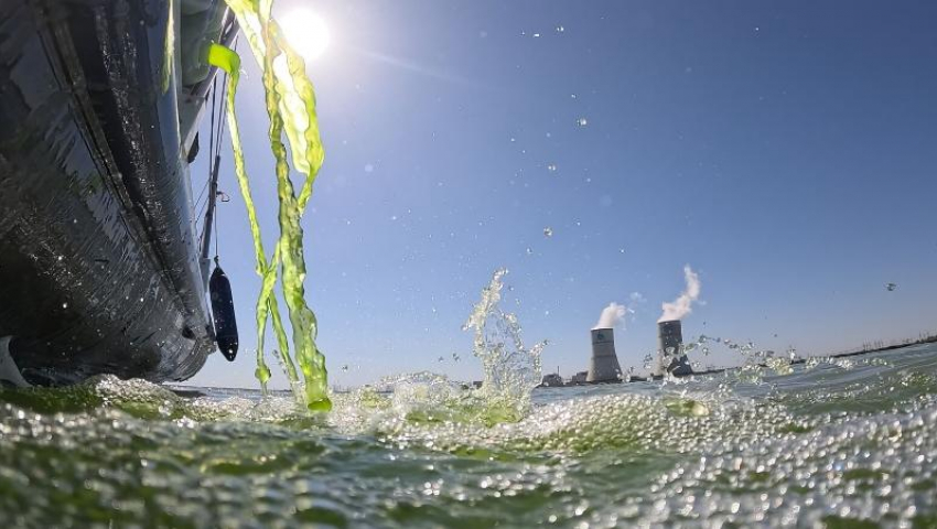 Чтобы вода не «цвела»: в водоем-охладитель Ростовской АЭС запустили новую партию хлореллы
