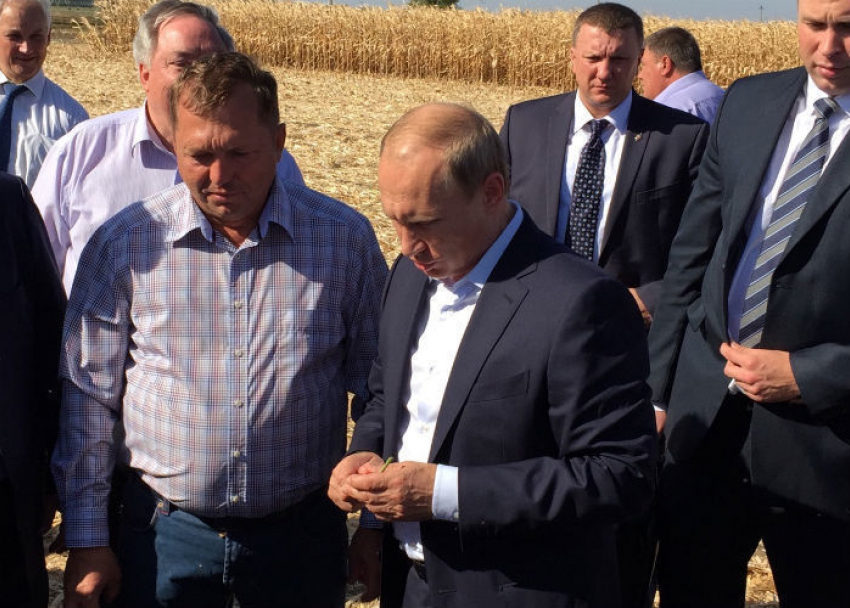 Фермеры пожаловались Путину на обмелевшее Цимлянское водохранилище