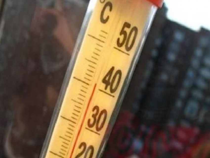 В Волгодонске ожидается сильная жара до +41 градуса