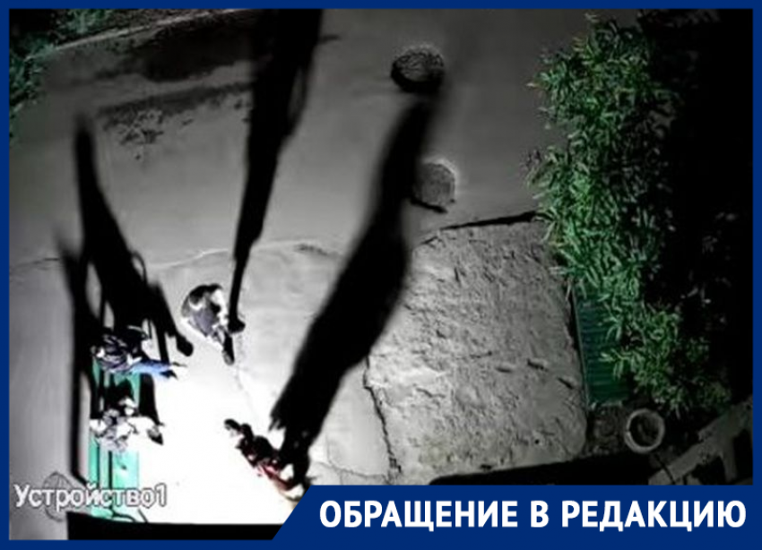 «Делаем что хотим!»: ночные гуляки терроризируют жену участника СВО