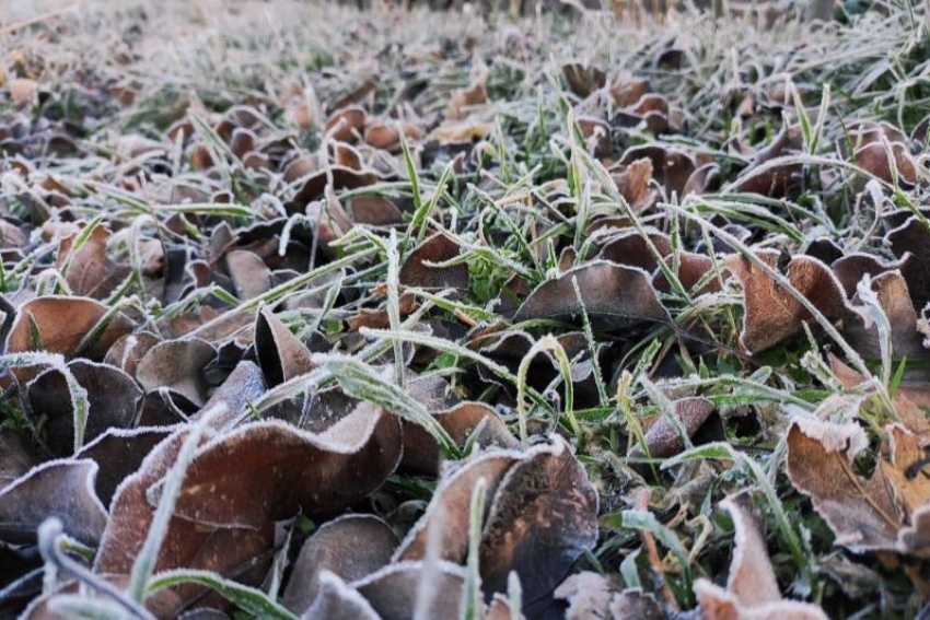 Мороз с утра и потепление днем ожидают Волгодонск