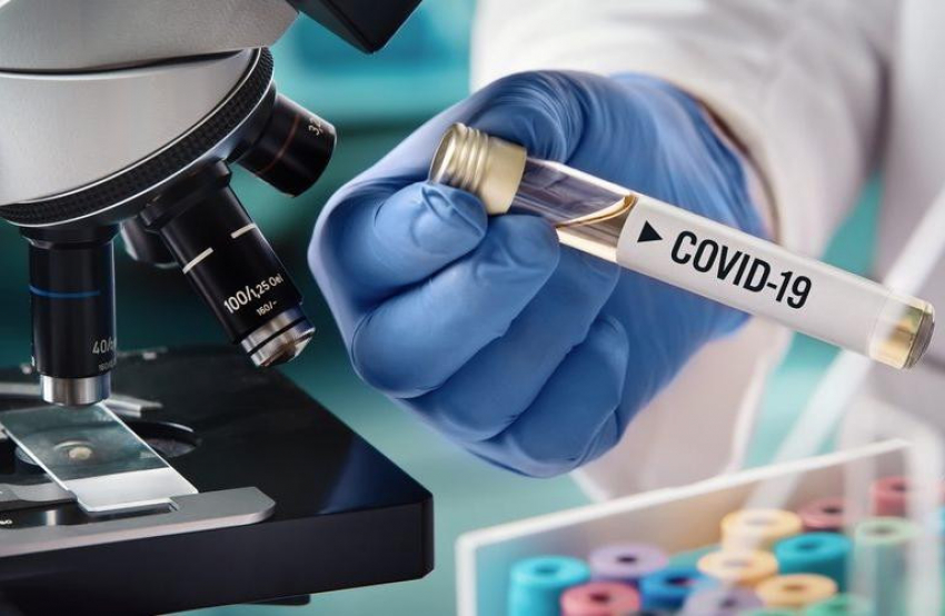 Новые случаи инфицирования Covid-19 выявлены в Волгодонском и Мартыновском районах