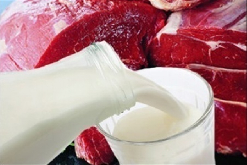 На рынках Волгодонска нашли почти полтонны больного мяса и молока