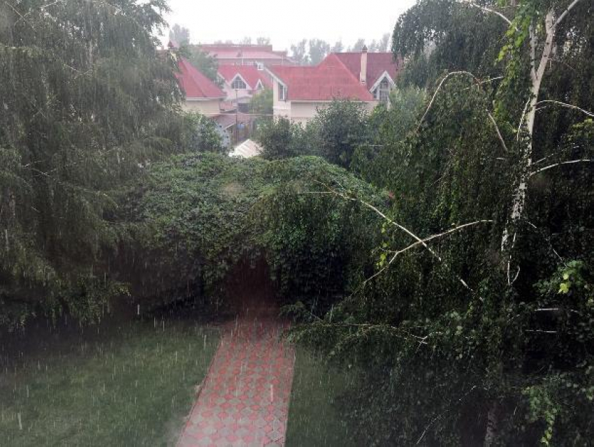На протяжении дня в Волгодонске будут срываться дожди