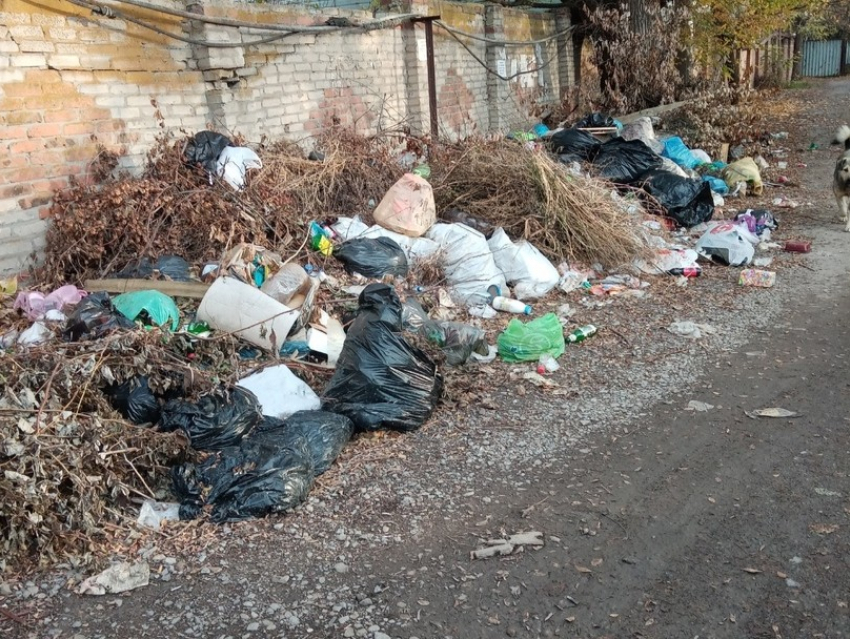 В Ростовской области объявили «охоту» на эконарушителей