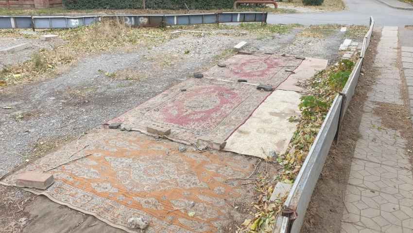 Нетривиальный способ использования старых ковров нашли на БВП