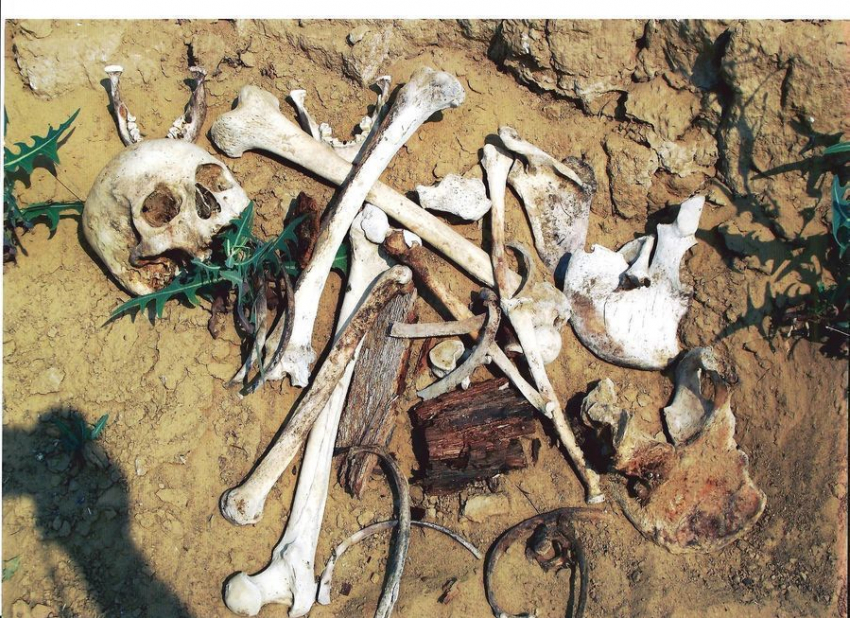 Побережье Цимлянского водохранилища усыпано человеческими костями и черепами