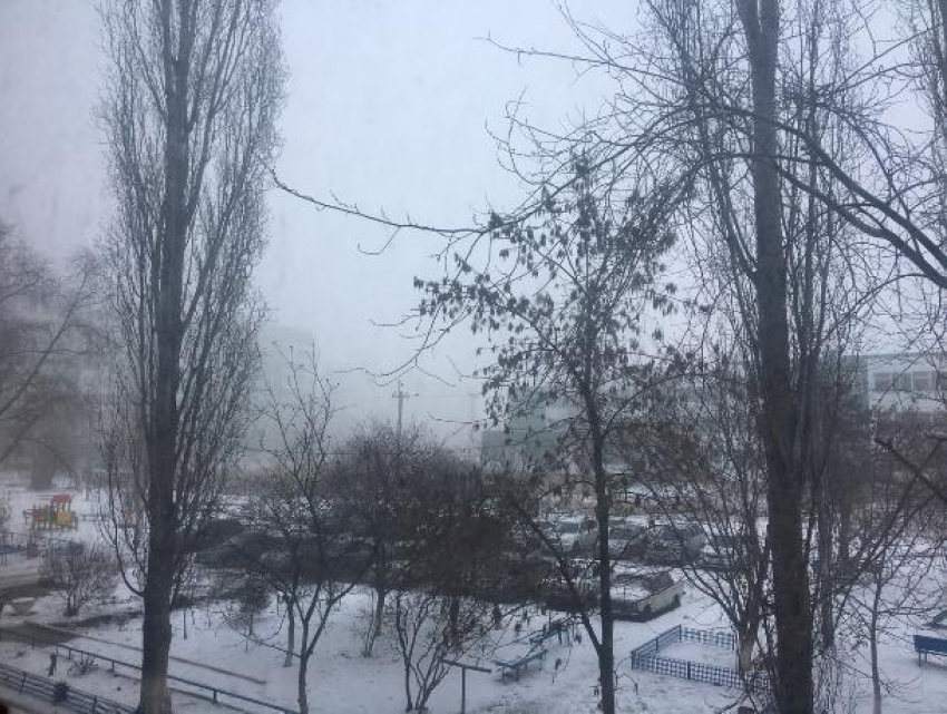 Густой туман будет держаться в Волгодонске на протяжении дня