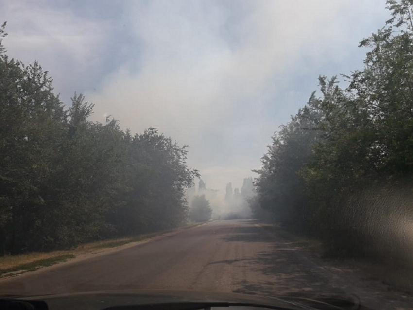Жаркая погода и палящее солнце стали причиной возгорания сухой растительности в Волгодонском районе