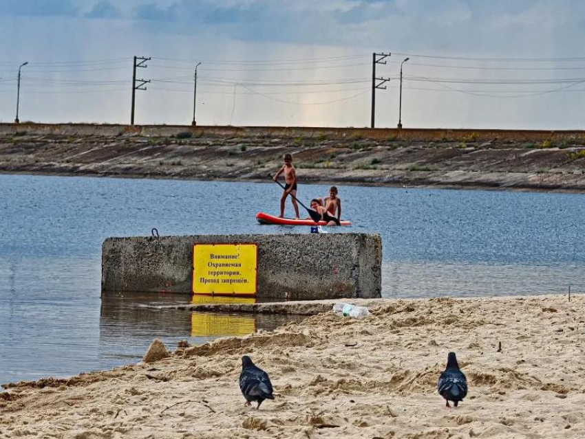 На водоёмах Ростовской области с начала лета погибли 24 человека