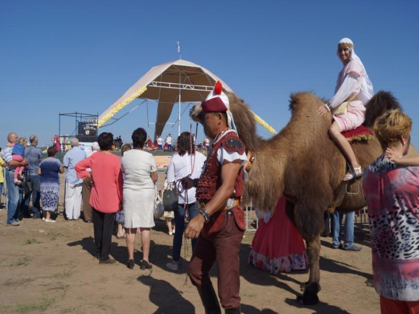 Стала известна дата проведения фестиваля «Великий Шелковый путь на Дону» 