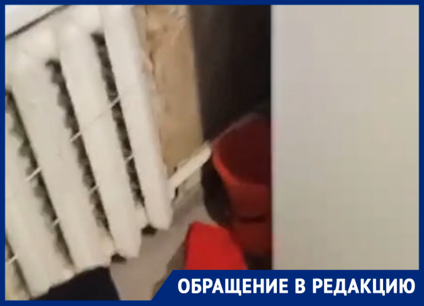 «Скажите, как выжить?»: жители дома на улице Морской не могут справиться с потопом из-за протекающей крыши 