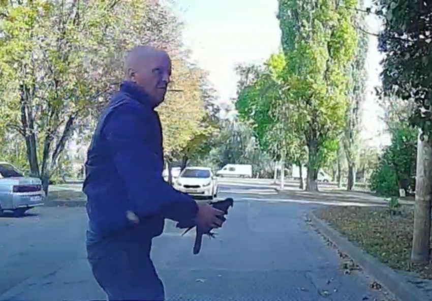 Самое милое за сегодня: волгодонский водитель спас голубя, неуклюже сидящего на дороге