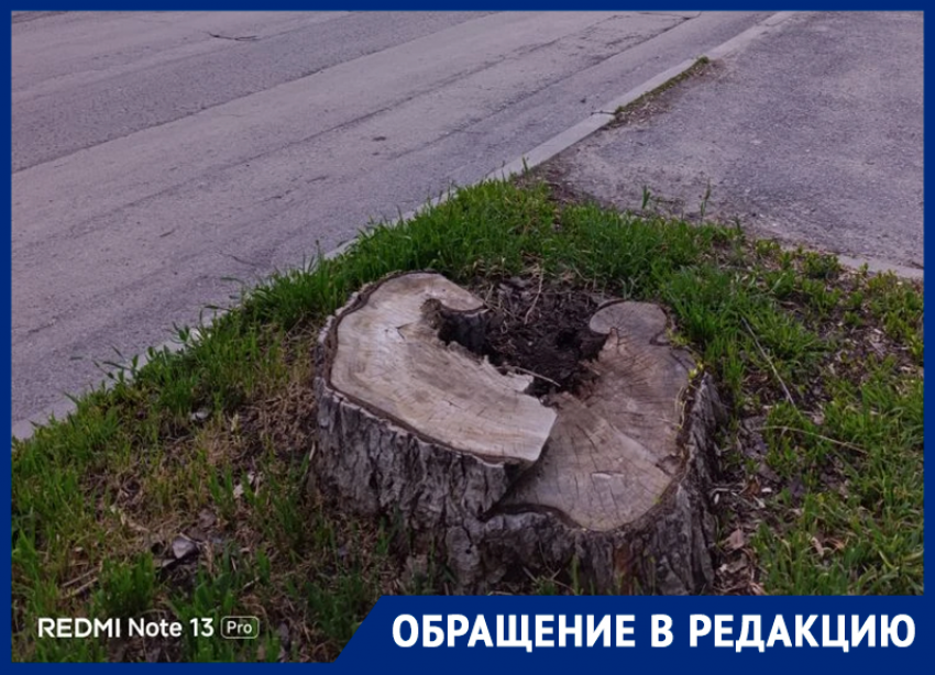 Семья атомщиков из Курской области пришла в ужас от состояния улицы Ленина в Волгодонске