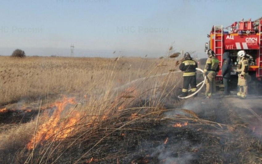 Камыш горит: в Волгодонске началось выжигание сухой растительности