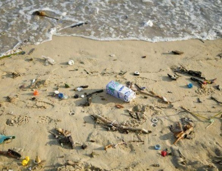 Волгодонские пляжи не соответствуют санитарным нормам