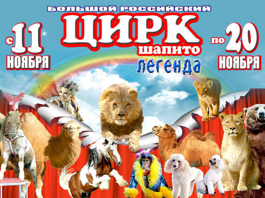 Яркое событие в культурной жизни  Волгодонска – большой российский цирк шапито «ЛЕГЕНДА»