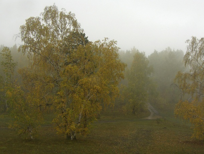 Рабочая неделя в Волгодонске начнется с пасмурного неба и густого тумана