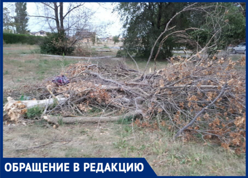 Последствия разбушевавшегося ветра в Волгодонске не убирают уже два месяца