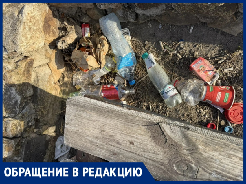 «Лагутники погрязли в мусоре!»: жительница хутора обвиняет администрацию в бездействии