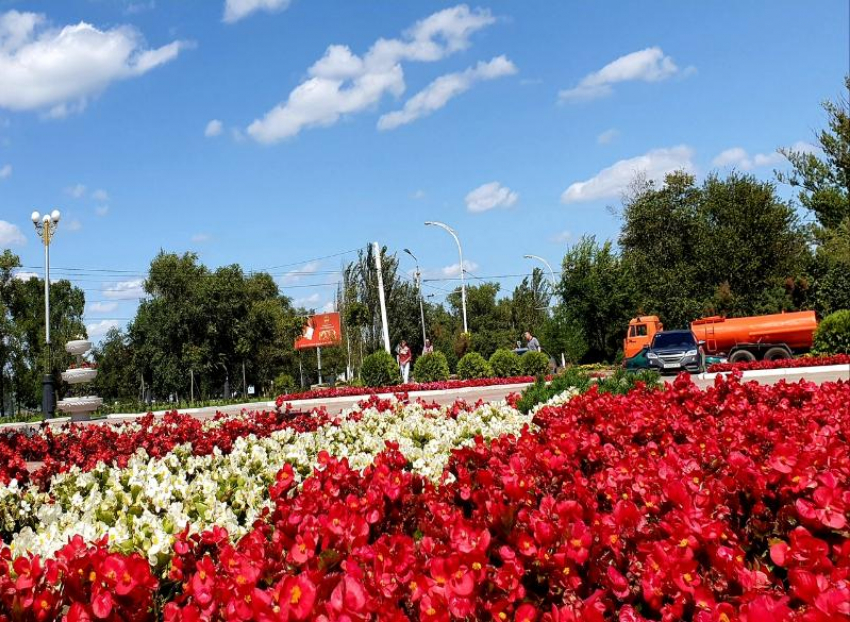 В жару цветы на клумбах в Волгодонске будут поливать чаще
