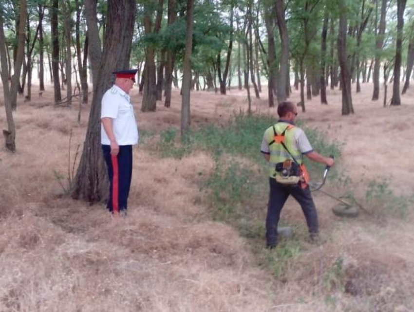 Волгодонские казаки уничтожили очаг дикорастущей конопли