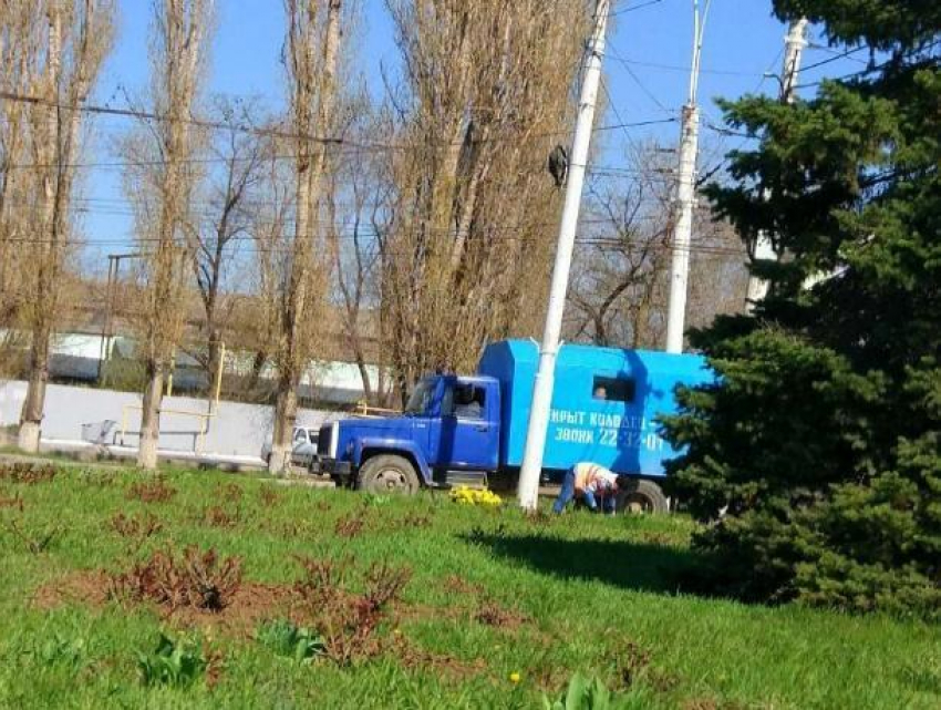 Волгодонск расцветёт на один день для губернатора Ростовской области благодаря «золушкам» из «Водоканала»