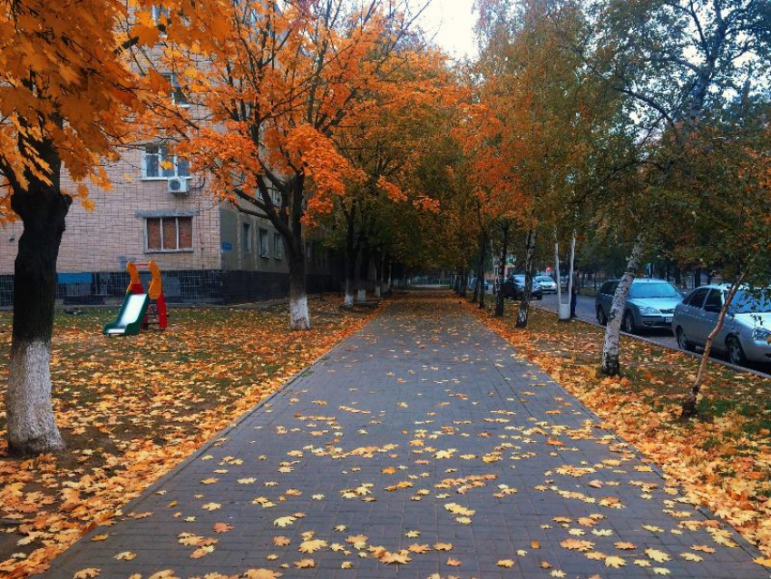 Пасмурная и холодная погода сохранится в последний четверг октября в Волгодонске