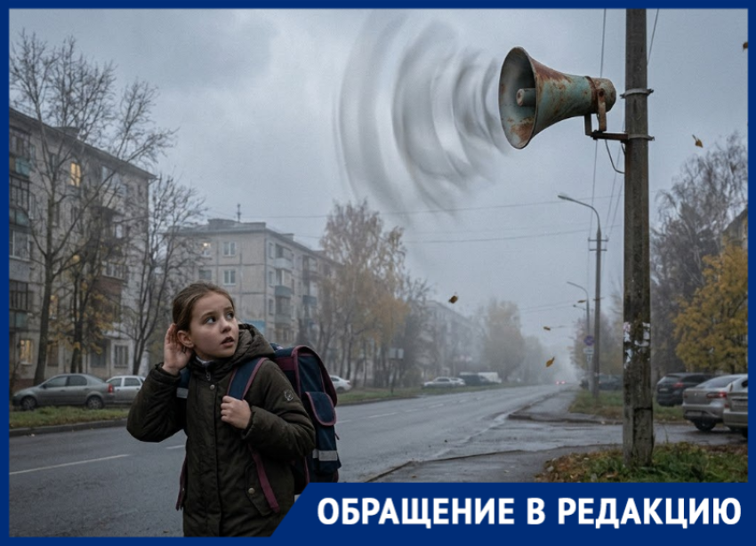«Так учёба или в подвал?»: волгодончанка озвучила вопросы многих