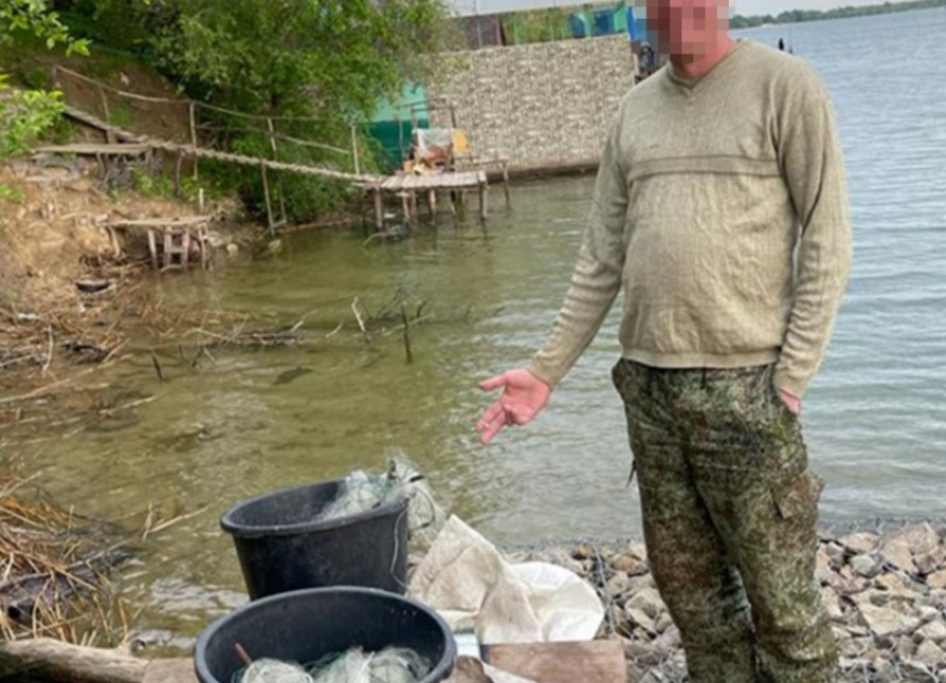 За вылов одного малька этой рыбы из Цимлы грозит штраф в 826 тысяч рублей