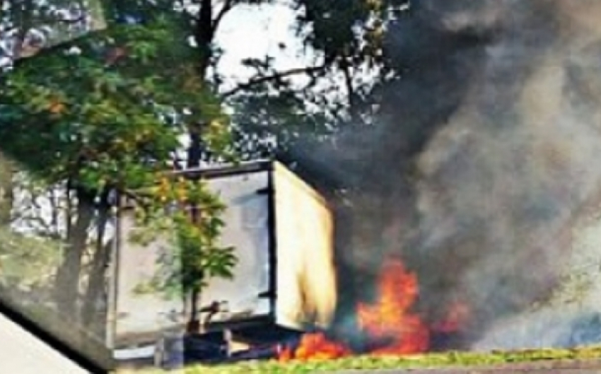 После столкновения с деревом загорелась «ГАЗель» на трассе Ростов-Волгодонск