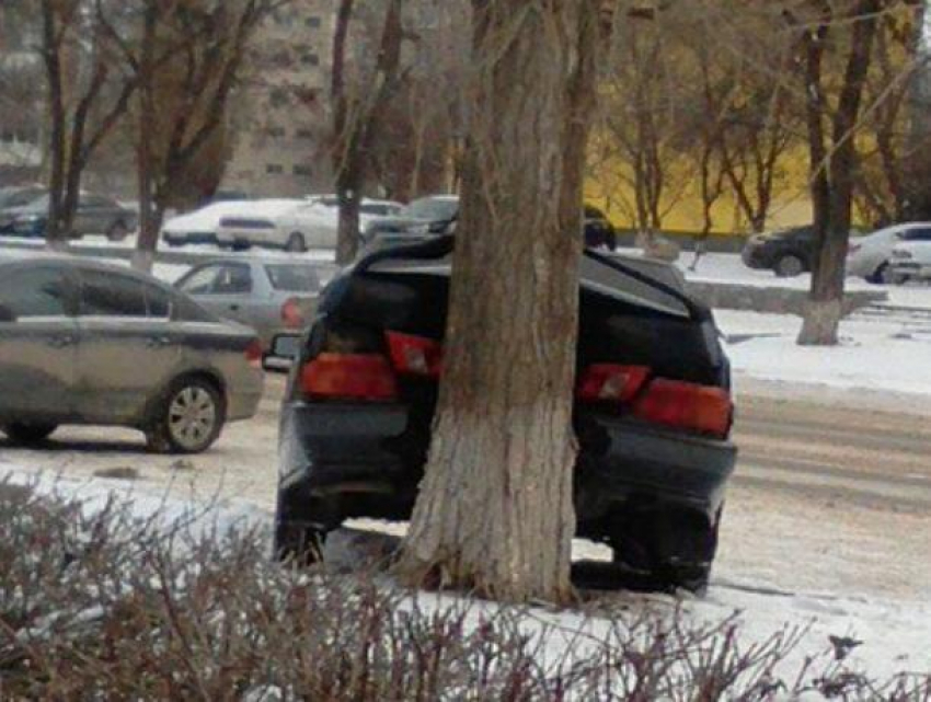 Иномарка «поцеловалась» задней частью с деревом в центре Волгодонска