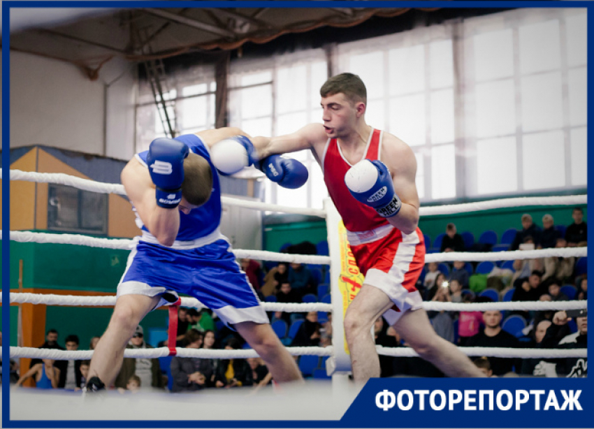 Свыше сотни спортсменов собрало первенство города по боксу в Волгодонске 