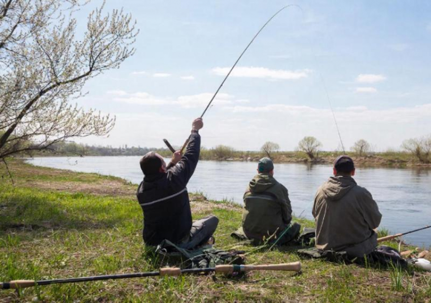 Как не оказаться в тюрьме из-за неправильной рыбалки: актуальные правила рыболовства на весну 2026 года