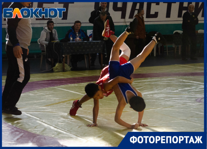 Более 100 спортсменов приняли участие в рейтинговом турнире по греко-римской борьбе в Волгодонске 